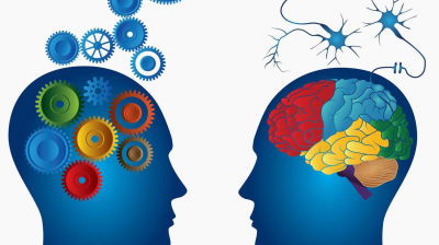 Estrategias Educativa para Estudiantes con Trastorno del Espectro Autista (TEA).