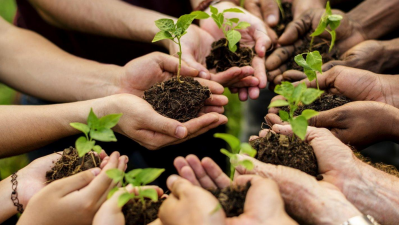 Sostenibilidad y eco‑educación